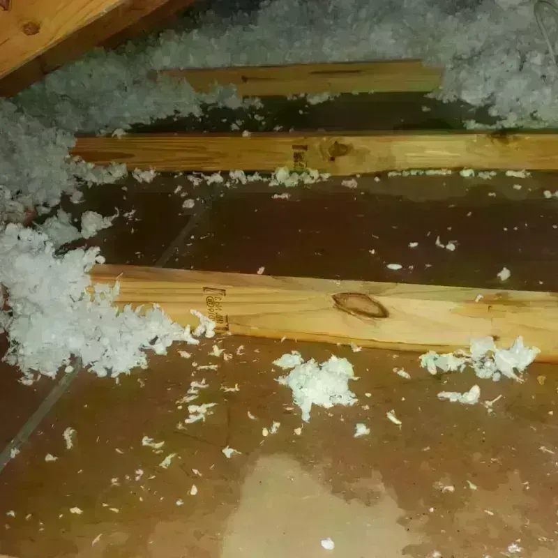 Attic Water Damage in Nash, TX