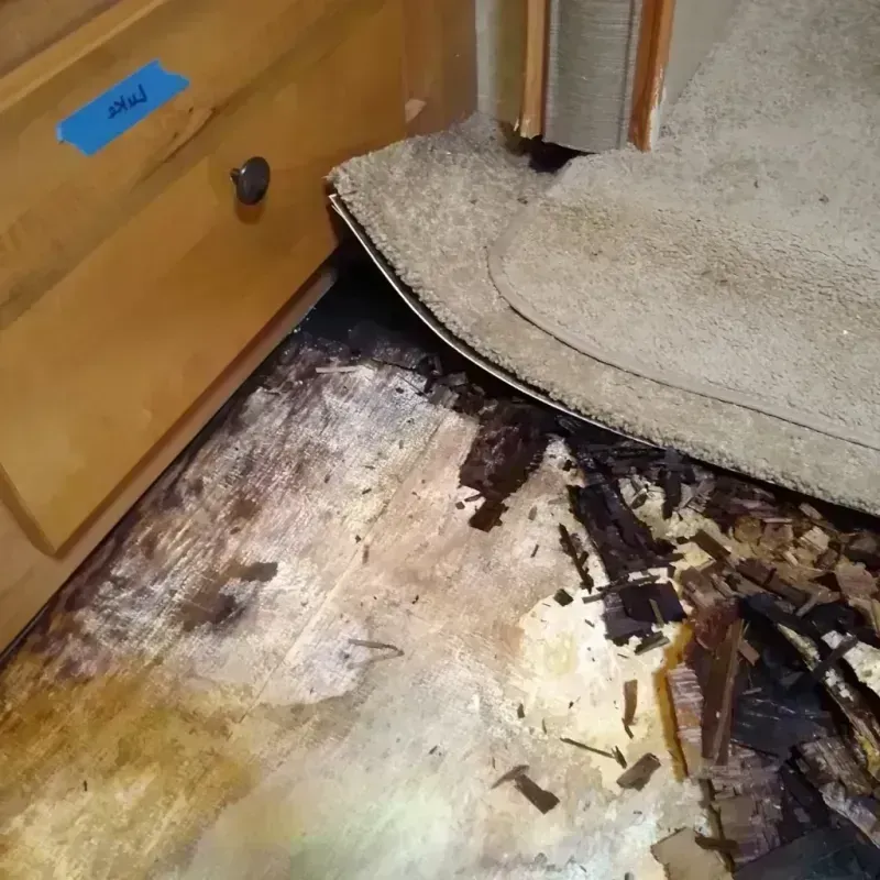 Wood Floor Water Damage in Nash, TX